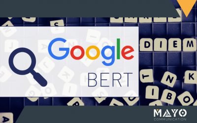 Google BERT: Arriva la più avanzata tecnica di ricerca online